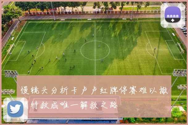 慢镜头分析卡卢卢红牌停赛难以撤销特赦成唯一解救之路