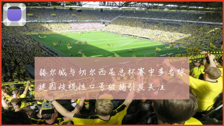 赫尔城与切尔西足总杯赛中多名球迷因歧视性口号被捕引发关注