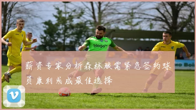薪资专家分析森林狼需紧急签约球员康利或成最佳选择